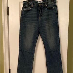 Women’s Loft Classic Blue Jeans